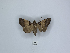  ( - ANHRTUK00189895)  @11 [ ] Copyright (2021) Unspecified ANHRT