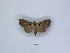  ( - ANHRTUK00189896)  @11 [ ] Copyright (2021) Unspecified ANHRT