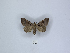  ( - ANHRTUK00189897)  @11 [ ] Copyright (2021) Unspecified ANHRT