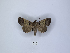  ( - ANHRTUK00189898)  @11 [ ] Copyright (2021) Unspecified ANHRT