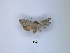  ( - ANHRTUK00189899)  @11 [ ] Copyright (2021) Unspecified ANHRT