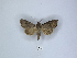  ( - ANHRTUK00189900)  @11 [ ] Copyright (2021) Unspecified ANHRT