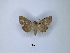  ( - ANHRTUK00189901)  @11 [ ] Copyright (2021) Unspecified ANHRT