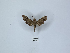  ( - ANHRTUK00189943)  @11 [ ] Copyright (2021) Unspecified ANHRT