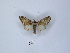  ( - ANHRTUK00189967)  @11 [ ] Copyright (2021) Unspecified ANHRT