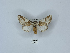  ( - ANHRTUK00189968)  @11 [ ] Copyright (2021) Unspecified ANHRT