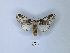  ( - ANHRTUK00189969)  @11 [ ] Copyright (2021) Unspecified ANHRT