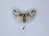  ( - ANHRTUK00189970)  @11 [ ] Copyright (2021) Unspecified ANHRT