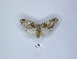  ( - ANHRTUK00189971)  @11 [ ] Copyright (2021) Unspecified ANHRT