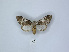  ( - ANHRTUK00189972)  @11 [ ] Copyright (2021) Unspecified ANHRT