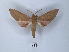  ( - ANHRTUK00190082)  @11 [ ] Copyright (2021) Unspecified ANHRT