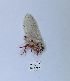  ( - ANHRTUK00190102)  @11 [ ] Copyright (2021) Unspecified ANHRT