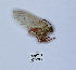  ( - ANHRTUK00190106)  @11 [ ] Copyright (2021) Unspecified ANHRT