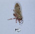  ( - ANHRTUK00190108)  @11 [ ] Copyright (2021) Unspecified ANHRT