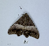  ( - ANHRTUK00190156)  @11 [ ] Copyright (2021) Unspecified ANHRT