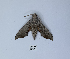  ( - ANHRTUK00190227)  @11 [ ] Copyright (2021) Unspecified ANHRT