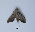  ( - ANHRTUK00190232)  @11 [ ] Copyright (2021) Unspecified ANHRT