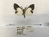  ( - ANHRTUK00192039)  @11 [ ] COPYRIGHT (2021) Unspecified ANHRT