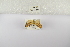  ( - ANHRTUK-00192715)  @11 [ ] Copyright (2021) Unspecified ANHRT
