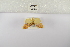  ( - ANHRTUK-00193871)  @11 [ ] Copyright (2021) Unspecified ANHRT