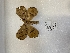  ( - ANHRTUK00193984)  @11 [ ] copyright (2021) Unspecified ANHRT