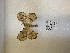  ( - ANHRTUK00193985)  @11 [ ] copyright (2021) Unspecified ANHRT