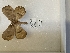  ( - ANHRTUK00193987)  @11 [ ] copyright (2021) Unspecified ANHRT