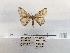  ( - ANHRTUK00194098)  @11 [ ] COPYRIGHT (2021) Unspecified ANHRT