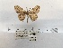  ( - ANHRTUK00194099)  @11 [ ] COPYRIGHT (2021) Unspecified ANHRT