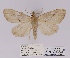  ( - ANHRTUK00194114)  @11 [ ] COPYRIGHT (2021) Unspecified ANHRT