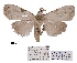  ( - ANHRTUK00194117)  @11 [ ] COPYRIGHT (2021) Unspecified ANHRT