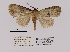  ( - ANHRTUK00194132)  @11 [ ] COPYRIGHT (2021) Unspecified ANHRT