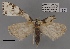  ( - ANHRTUK00194143)  @11 [ ] COPYRIGHT (2021) Unspecified ANHRT