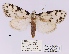  ( - ANHRTUK00194144)  @11 [ ] COPYRIGHT (2021) Unspecified ANHRT