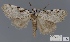  ( - ANHRTUK00194152)  @11 [ ] COPYRIGHT (2021) Unspecified ANHRT