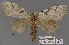  ( - ANHRTUK00194153)  @11 [ ] COPYRIGHT (2021) Unspecified ANHRT