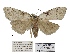  ( - ANHRTUK00194154)  @11 [ ] COPYRIGHT (2021) Unspecified ANHRT
