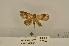  ( - ANHRTUK00194236)  @11 [ ] COPYRIGHT (2021) Unspecified ANHRT