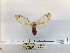  ( - ANHRTUK00194245)  @11 [ ] COPYRIGHT (2021) Unspecified ANHRT