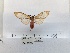  ( - ANHRTUK00194250)  @11 [ ] COPYRIGHT (2021) Unspecified ANHRT