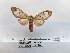  ( - ANHRTUK00194252)  @11 [ ] COPYRIGHT (2021) Unspecified ANHRT