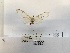  ( - ANHRTUK00194262)  @11 [ ] COPYRIGHT (2021) Unspecified ANHRT