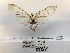  ( - ANHRTUK00194264)  @11 [ ] COPYRIGHT (2021) Unspecified ANHRT