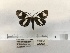  ( - ANHRTUK00194321)  @11 [ ] COPYRIGHT (2021) Unspecified ANHRT