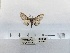  ( - ANHRTUK00194338)  @11 [ ] COPYRIGHT (2021) Unspecified ANHRT