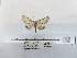  ( - ANHRTUK00194339)  @11 [ ] COPYRIGHT (2021) Unspecified ANHRT