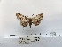  ( - ANHRTUK00194340)  @11 [ ] COPYRIGHT (2021) Unspecified ANHRT