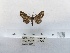  ( - ANHRTUK00194341)  @11 [ ] COPYRIGHT (2021) Unspecified ANHRT