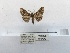  ( - ANHRTUK00194342)  @11 [ ] COPYRIGHT (2021) Unspecified ANHRT