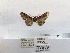  ( - ANHRTUK00194343)  @11 [ ] COPYRIGHT (2021) Unspecified ANHRT